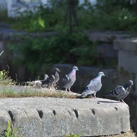 Appartamento Inselvilla